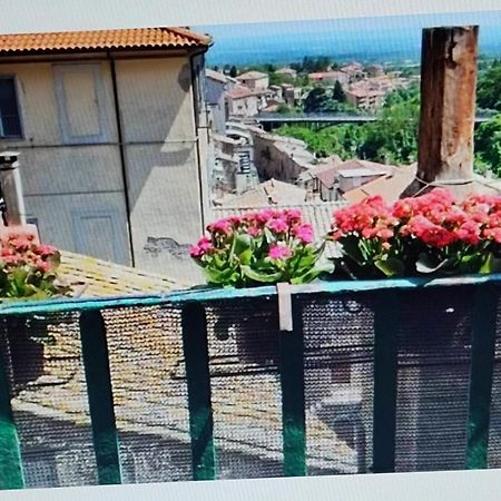 La Casa Del Sole Leilighet Caprarola Eksteriør bilde