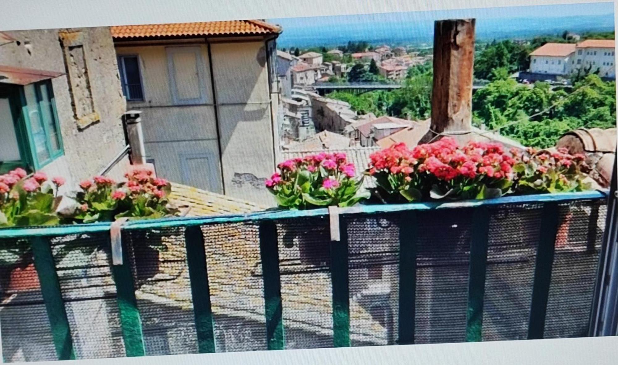 La Casa Del Sole Leilighet Caprarola Eksteriør bilde